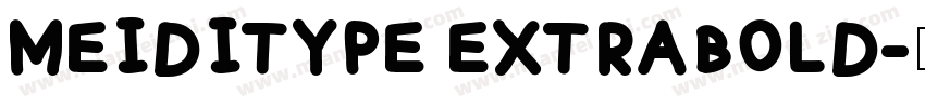 MEIDITYPE EXTRABOLD字体转换